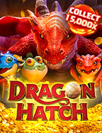 Dragon Hatch