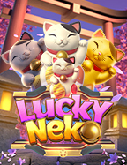 lucky neko