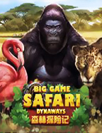 Big Game Safari