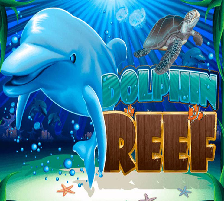 DolphinReef-918