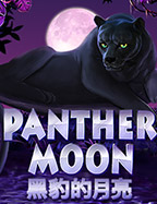 Panther Moon