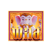 Ganesha Fortune wild